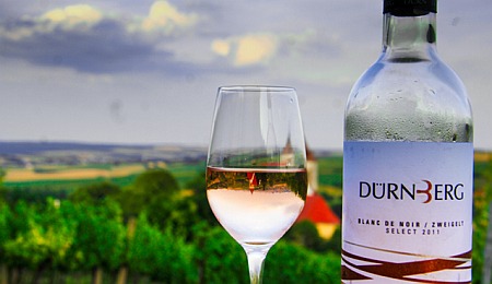 Blanc de Noir Zweigelt vom Weingut Dürnberg