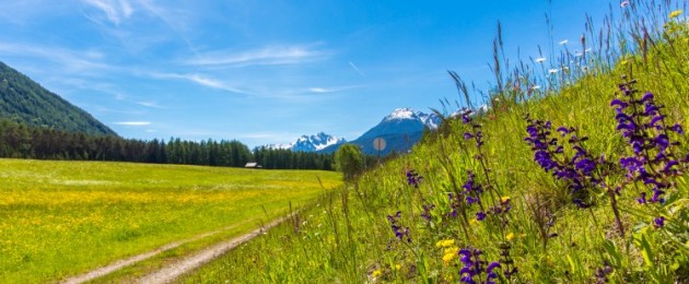 Alpenkräutertage