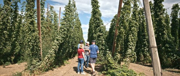 BIER! Der beste Film, der je gebraut wurde · Joe Cantron, Perrault Farms, Yakima Chief Hops