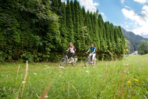 E-Bikes