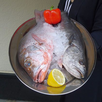 Fischrestaurant Vikas, Wildpretmarkt 3 1010 Wien | frischer Fisch aus der Vitrine
