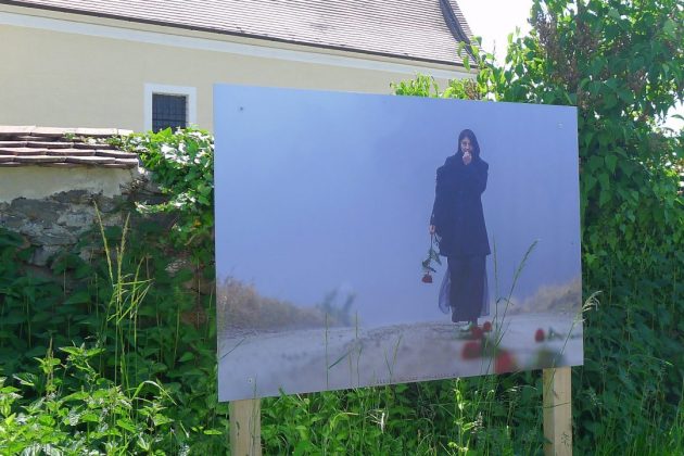 Gartensommer Nö 2021 Fotoaustellung Gartendorf Schiltern