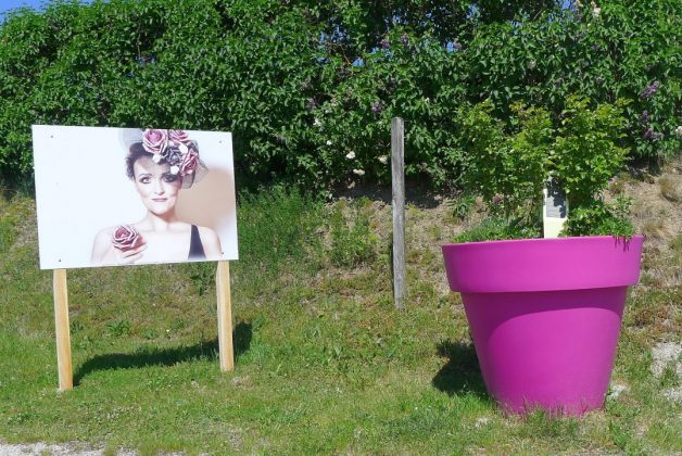 Gartensommer Nö 2021 Fotoaustellung Gartendorf Schiltern