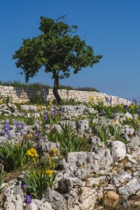 Erlebnispark Histria Aromatica