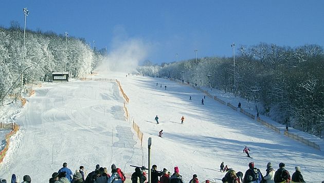 High Hills (Hohe Wand Wiese, Mauerbach)