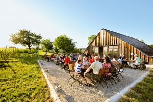 Carnuntum Experience, Jazzbrunch beim TOP-Heurigen Nadler in Arbesthal