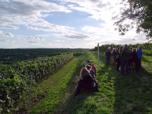 Kostbarer Weinweg Ausklang • © lifestyleundreisen.at