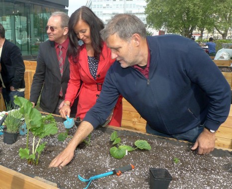 Einpflanzen der ersten Bio-Setzlinge KarlsGarten Karlsplatz, Ulli Sima und Bezirksvorsteher Leopold Plasch beim Einpflanzen der ersten Bio-Setzlinge