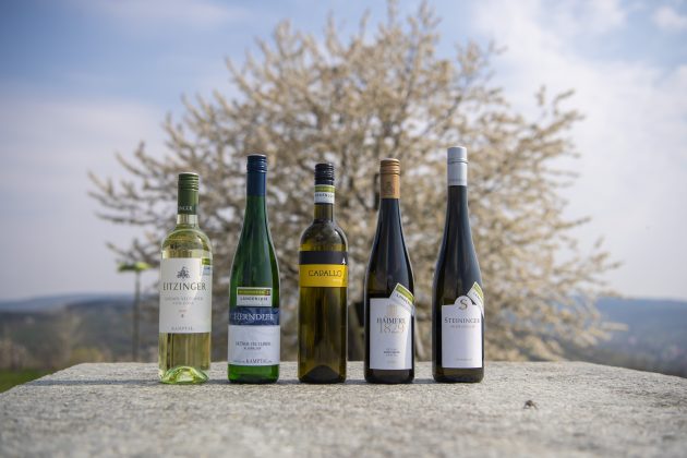Langenloiser Weinchampions (Nö) Frühjahr 2020 · Siegerweine