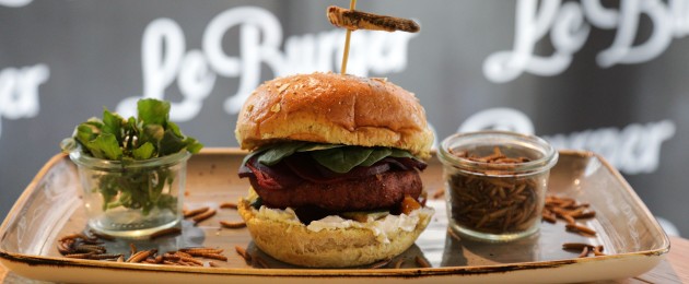Le Burger Protein-Burger mit Mehlwürmern