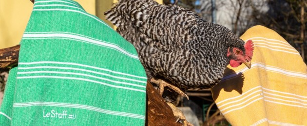 Frohe Ostern mit den bunten LeStoff Hamam-Tüchern
