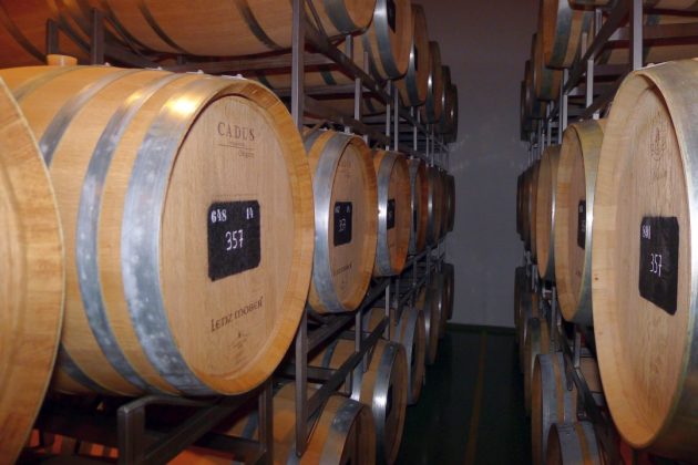 Barrique Fässer in der Weinkellerei Lenz Moser © Nino Rainaldi