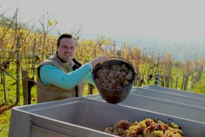 Gerhard J. Lobner bei der Herbstlese 2016