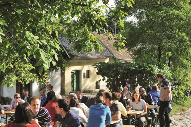 Niederoesterreich Weinherbst Kellergasse Pillichsdorf