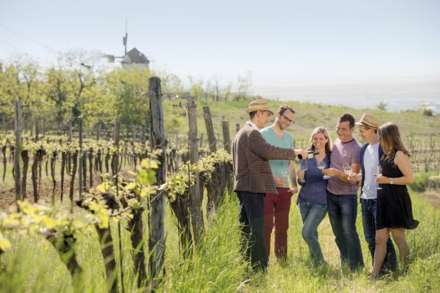 Weinfrühling im Weinland Niederösterreich: In die Grean gehen – mit dem Winzer hinaus ins Grüne