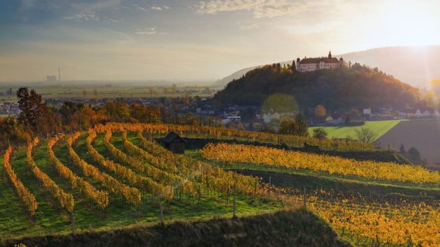 Niederösterreich, Traisental, Riede Ahrenberg-Eichberg