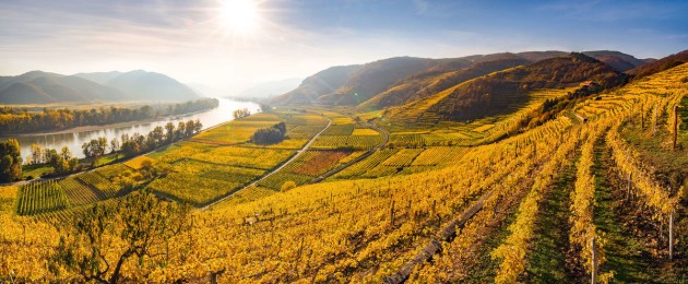 Niederösterreich, Wachau, Dürnstein, Ried Liebenberg, Ried Kaiserberg, Ried Frauengärten