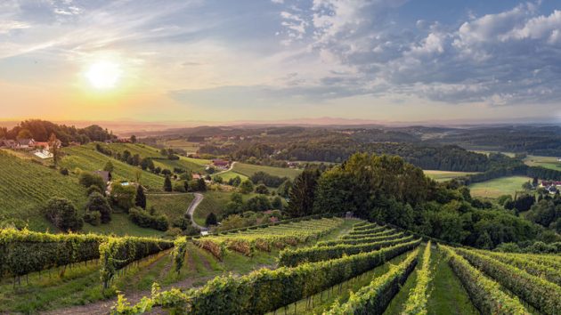 Steiermark, Weststeiermark, Kothvogel
