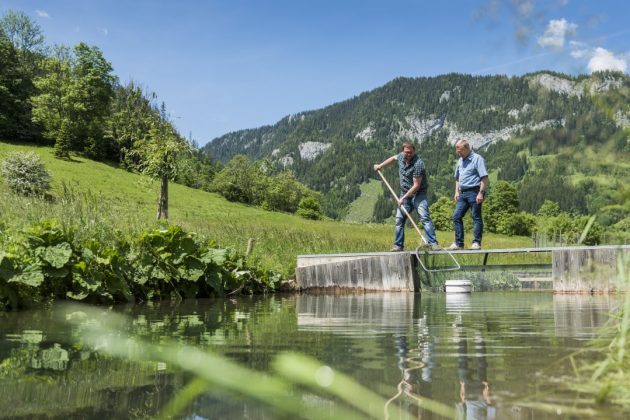 Teiche im Mariazieller Land bei Questers®