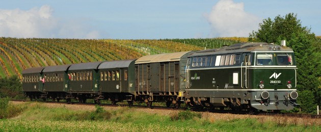 Reblaus Express, Waldviertel, Weinberge
