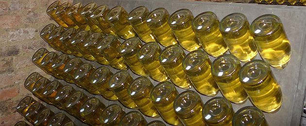 Sekt