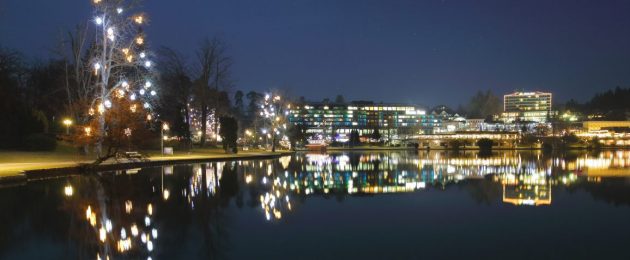 Slowenien · Bled · Panorama zu Weihnachten