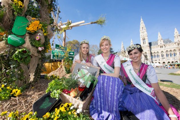 Steiermark-Frühling am Wiener Rathausplatz • Narzissenprinzessinen