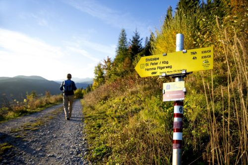 Wandertour vom Gletscher zum Wein, Stolzalpe - Murau © Steiermark Tourismus / ikarus.cc