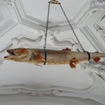 Kunst- und Wunderkammer – Objekte und Kuriositäten aus Natur und Kunst | © lifestyleundreisen.at