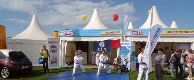 Das war der Tag des Sports 2015