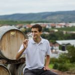 Vineus Wine Culture Award 2017 · Winzer Stefan Rosner