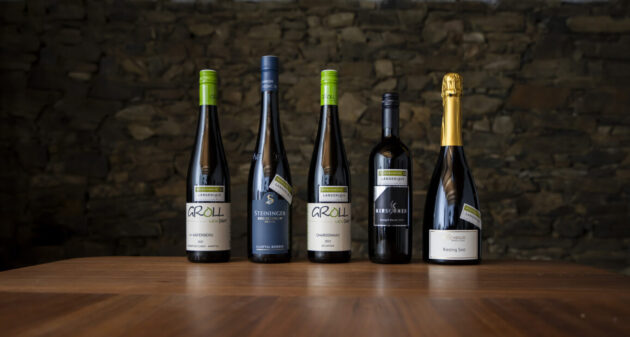 Langenloiser Weinchampions (Nö) Herbst 2023 · Flaschen
