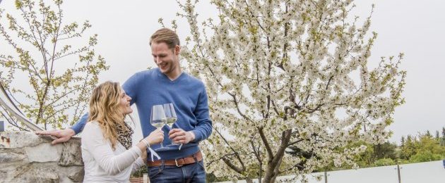 WeinfrühlingKamptal, Kremstal und Traisental