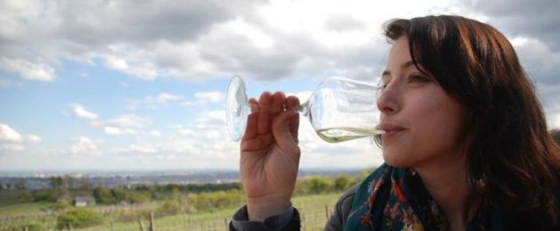 8. Wiener Weinwandertag