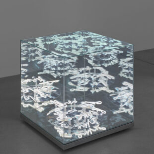 Albertina Wien | Brigitte Kowanz | Matter of Time, 2019