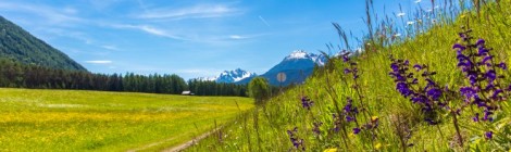 Alpenkräutertage