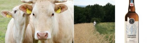 Offensive von Slow Food und Arche des Geschmacks
