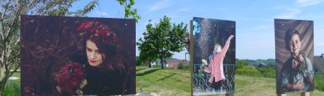 Gartensommer Nö 2021 Fotoaustellung Gartendorf Schiltern