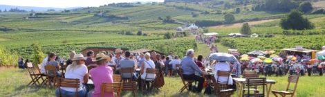 Genussmeile 2016 – Thermenregion Wienerwald