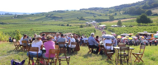 Genussmeile 2016 – Thermenregion Wienerwald