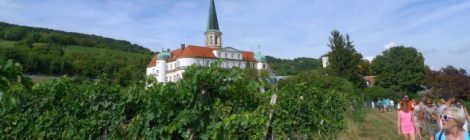 Genussmeile Thermenregion Gumpoldskirchen