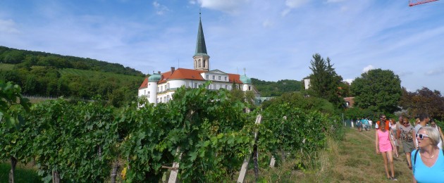Genussmeile Thermenregion Gumpoldskirchen