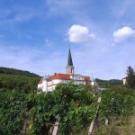 Genussmeile Wienerwald Gumpoldskirchen