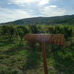 Impressionen entlang des Wegs