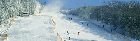 High Hills (Hohe Wand Wiese, Mauerbach)