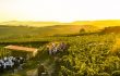 Kamptal im Spätsommer