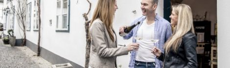 Langenlois Weinschaun beim Winzer