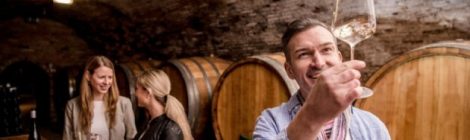 Langenlois Weinschaun beim Winzer