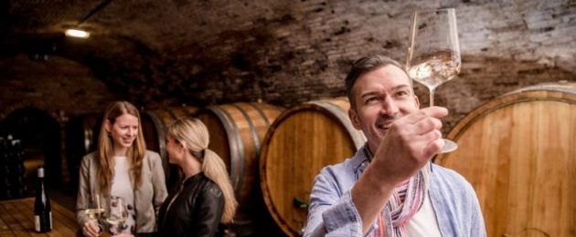 Langenlois Weinschaun beim Winzer