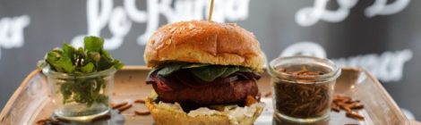 Le Burger Protein-Burger mit Mehlwürmern